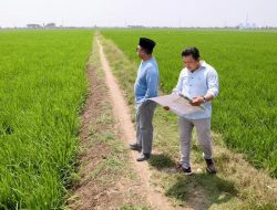 Menteri ATR/BPN Nusron Wahid Pasang Rem! Lahan Sawah Indramayu Tak Boleh Dikorbankan untuk Industri