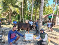 Balitbang DPP Partai Golkar Tebar Kurban di Pulau Longos NTT, Warga Desa Terpencil Haru dan Bahagia