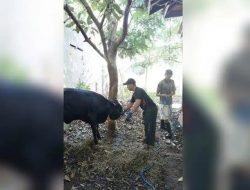Partai Golkar Majalengka Tebar Ribuan Paket Kurban, Asep Eka: Partai Harus Hadir untuk Rakyat