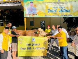 Partai Golkar Lampung Sembelih 65 Hewan Kurban, Hanan A Rozak Angkat Nilai Keikhlasan