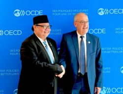 Airlangga Hartarto Kunci Dukungan Swiss untuk OECD, Danantara hingga Mineral Strategis