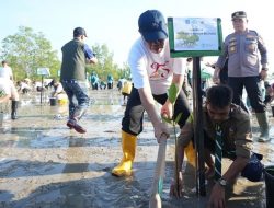 Hadapi Ancaman Abrasi, Gubernur Babel Hidayat Arsani Pimpin Aksi Tanam Mangrove di Bangka Tengah