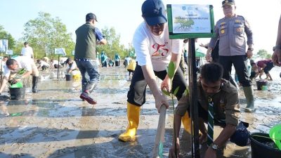 Hadapi Ancaman Abrasi, Gubernur Babel Hidayat Arsani Pimpin Aksi Tanam Mangrove di Bangka Tengah