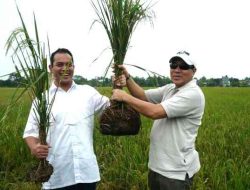 Firman Soebagyo Ajak Petani Bersahabat dengan El Nino, Dorong Perubahan Pola Tanam demi Jaga Produksi Pangan