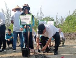 Gubernur Hidayat Arsani Pimpin Penanaman 3.300 Mangrove, Perkuat Pelestarian Pesisir Bangka Belitung