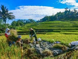 Misbakhun: Setiap Rupiah APBN Harus Berbuah Manfaat, Bukan Terbuang Jadi Pemborosan