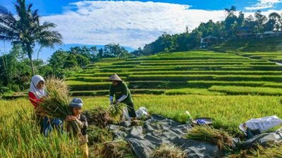 Misbakhun: Setiap Rupiah APBN Harus Berbuah Manfaat, Bukan Terbuang Jadi Pemborosan