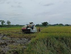 Banten Krisis Lahan Sawah, Menteri ATR/BPN Nusron Wahid Kaji Penggantian Lahan di Luar Provinsi
