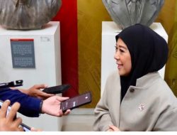 Kasus Internet Starlink di Mentawai, Menkomdigi Meutya Hafid Dorong Pembinaan Bukan Langsung Dipidana