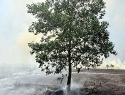 Robert J. Kardinal Usul Pelaku Pembakaran Hutan Dihukum Mati