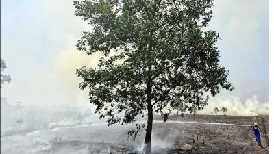 Robert J. Kardinal Usul Pelaku Pembakaran Hutan Dihukum Mati