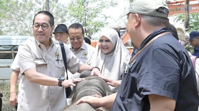Selamatkan Satwa Way Kambas, Firman Soebagyo Dorong Pencegahan dan Deteksi Dini Karhutla