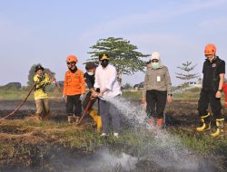 Wagub Kalsel Hasnuryadi Sulaiman Turun Langsung Padamkan Karhutla di Pengayuan