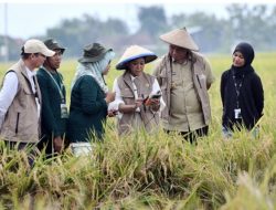 IoT dan AI Tak Boleh Hanya di Kota, Menkomdigi Meutya Hafid Dorong Teknologi Masuk Sentra Pangan Desa