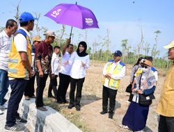 Perkuat NTB sebagai Lumbung Padi Nasional, Sari Yuliati Dorong Penambahan Anggaran Irigasi
