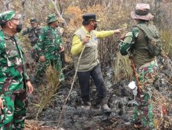 TN Tanjung Puting dalam Ancaman Karhutla, Bupati Seruyan Ahmad Selanorwanda Serukan Kolaborasi Penyelamatan